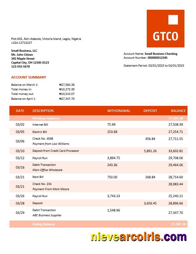 GT Bank organization checking account statement